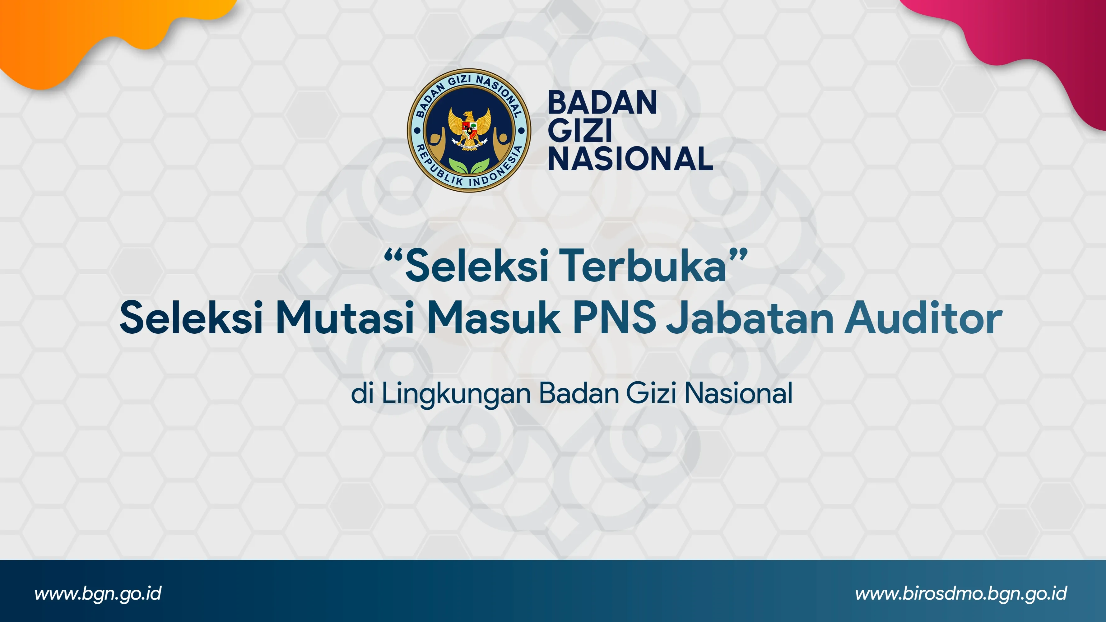 Seleksi Terbuka - Seleksi Mutasi Masuk PNS Jabatan Auditor di Lingkungan Badan Gizi Nasional Provinsi Riau